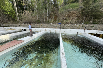 Su ürünleri ihracatında hedef 2 milyar doları geçmek