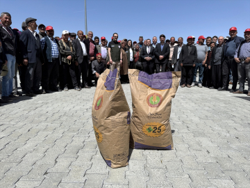 Ardahan'da 210 üreticiye 45 ton korunga tohumu desteği
