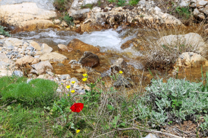 Malatya&#039;da doğaseverlerden Beydağı eteklerine yürüyüş