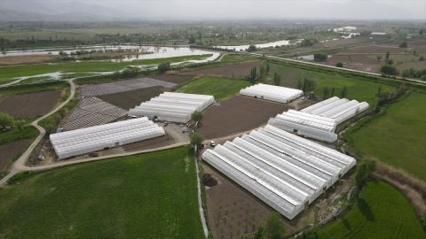 Erzincan&#039;da yeni yatırımlarla sera varlığı 1000 dönümü aşacak