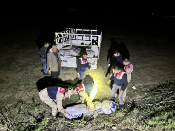 Van&#039;da kaçak avlanmış 1,8 ton inci kefali ele geçirildi