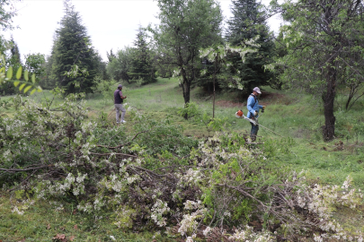 Elazığ, Şırnak ve Bingöl&#039;de "Orman Benim" etkinliği