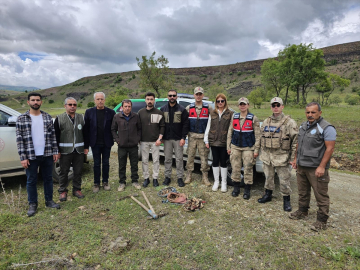 Tunceli&#039;de kaçak salep yumrusu toplayanlara 1 milyon 935 bin 705 lira ceza