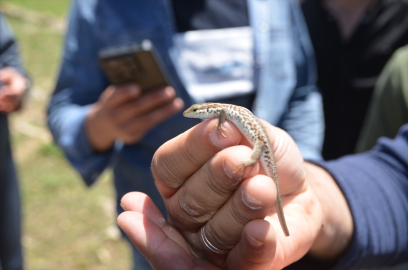 Üniversite öğrencileri Nehil Sazlığı&#039;nda gözlem yaptı