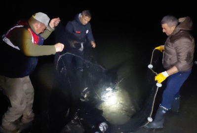 Van&#039;da kaçak inci kefali avlayanlara 435 bin lira ceza kesildi