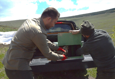 Ardahan'da yaralı bulunan kızıl şahin tedavisinin ardından doğaya salınacak
