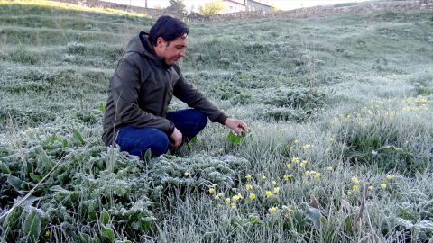Kars&#039;ta kar yağışı ve soğuk hava etkili oldu