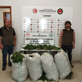 Van&#039;da "dev soğan" bitkileriyle yakalanan İran uyrukluya 387 bin lira ceza uygulandı