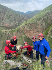 Ardahan&#039;da vadi yamacında mahsur kalan koyunu AFAD ve JAK kurtardı
