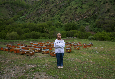 Biyosistem mühendisi girişimci, devlet desteğiyle arıcılığa başladı