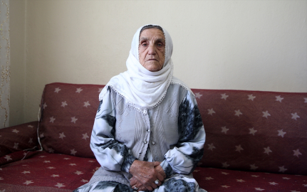 Muş&#039;ta köpeklerin saldırdığı 80 yaşındaki kadın yaşadığı korkuyu unutamıyor