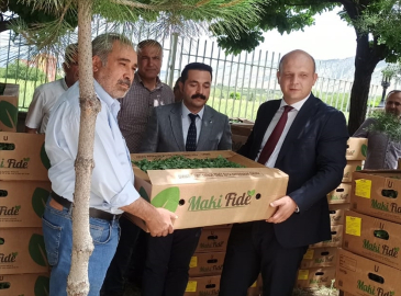 Kale&#039;de üreticilere sebze fidesi dağıtıldı