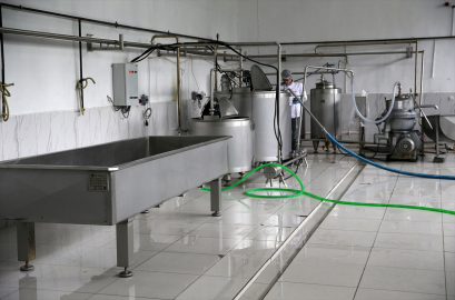 Bitlis'te üretilen manda sütü devlet desteğiyle kurulan tesiste ürüne dönüştürülüyor