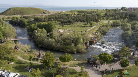 Van&#039;da inci kefallerinin göçü festivalle tanıtılacak