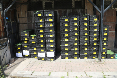 Güroymak&#039;ta 21 bin sebze fidesi dağıtıldı