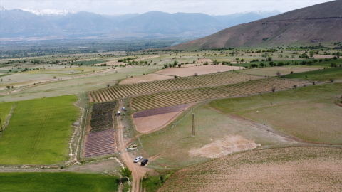 Köyüne döndü, yıllık 40 ton böğürtlen, 25 ton çilek üretiyor