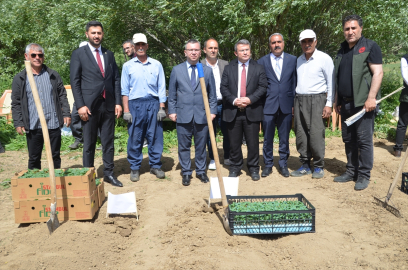 Yüksekova&#039;da çiftçilere 109 bin fide dağıtıldı