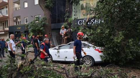 Iğdır&#039;da devrilen asırlık ağaç park halindeki araca zarar verdi