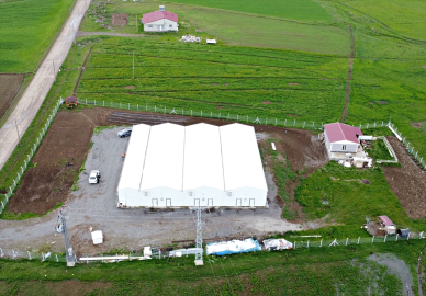 Hayallerinin peşinden giden anne, oğluyla mantar üreticisi oldu