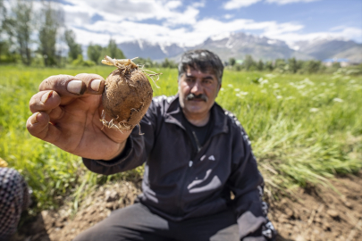 Tunceli'nin köylerinde üreticiler patates ekim mesaisinde
