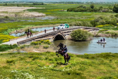 Jandarma ekipleri inci kefalleri için 6 akarsuyu kontrol altında tutuyor