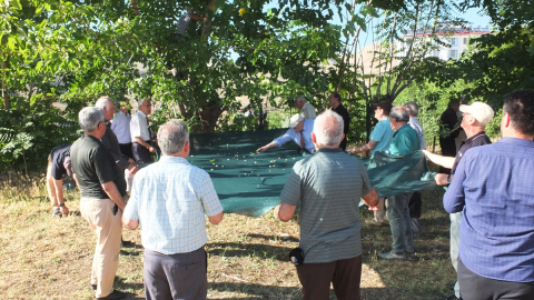Elazığ'da "3. Keban Dut Zamanı Kültür ve Sanat" etkinliği düzenlendi