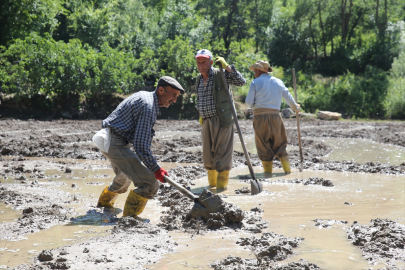 Çukurca&#039;da vatandaşlar çeltik ekimini imece usulüyle yapıyor