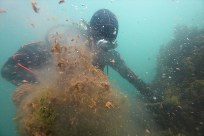 Van Gölü'nde yeni mikrobiyalit kolonisi tespit edildi