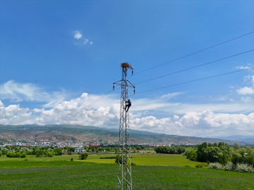Kuşları korumak ve kesintisiz enerji için direklere izolasyon yapılıyor