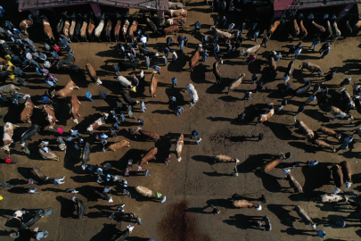 Ağrı Hayvan Borsası&#039;nda Kurban Bayramı yoğunluğu yaşanıyor