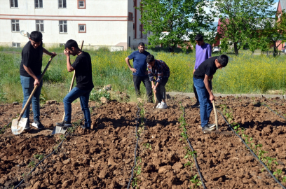 Muş'ta öğretmen ve öğrenciler, bostana dönüştürdükleri alana sebze ve meyve tohumları ekti