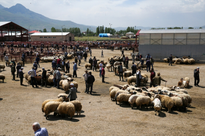 Van'dan batıdaki illere kurbanlık sevkiyatı sürüyor