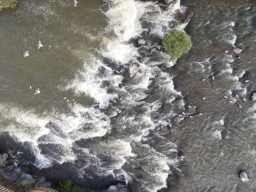 "Van Gölü&#039;nün incileri"nin tatlı sulara yolculuğu sürüyor