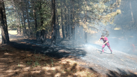 Bingöl'de ormanlık alanda çıkan yangın söndürüldü