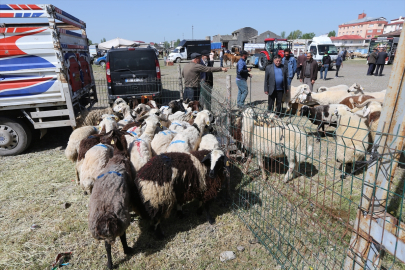 Kars, Ardahan ve Ağrı&#039;daki kurban pazarlarında hareketlilik arttı
