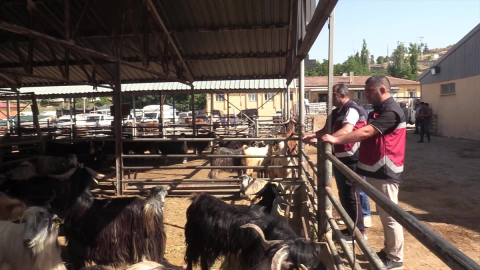 Elazığ&#039;da hayvan pazarında denetim yapıldı