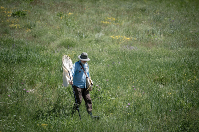 Hakkari&#039;den Uludağ&#039;a birçok bölgede Türkiye&#039;nin biyoçeşitliliği araştırılıyor