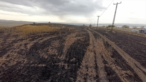 Tunceli’de arpa tarlalarında çıkan yangın söndürüldü