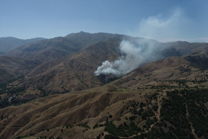 Bingöl'de çıkan örtü yangını ormana sıçramadan söndürüldü
