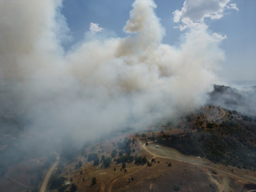 Elazığ'da ormanlık alanda çıkan yangına müdahale ediliyor