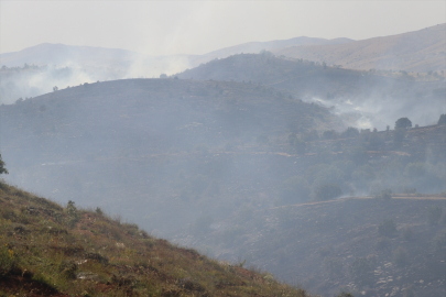 GÜNCELLEME - Elazığ&#039;da ormanlık alanda çıkan yangın kontrol altına alındı