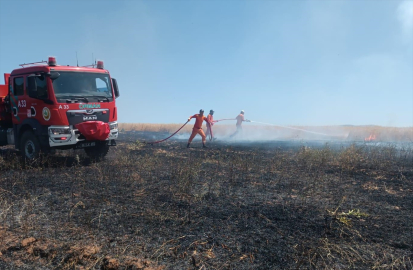Bingöl&#039;de çıkan örtü yangını ormana sıçramadan söndürüldü