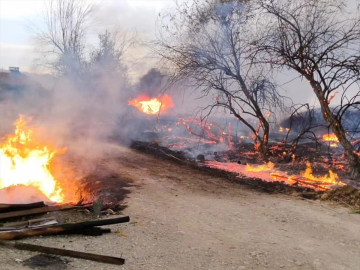 Elazığ&#039;da çıkan yangında meyve ağaçları zarar gördü