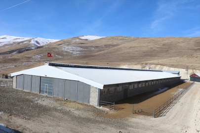 Erzurum'da tarım ve kırsal kalkınma destekleriyle 1820 kişiye istihdam sağlandı