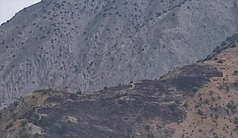 Hakkari'de ağaçlık alanda çıkan yangın kontrol altına alındı