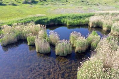 Iğdır&#039;daki Üçkaya Gölü&#039;nün turizme kazandırılması için çalışma başlatıldı