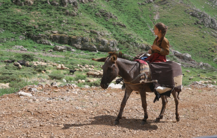 Hakkari'deki Han Yaylası, Şırnaklı göçerleri ağırlıyor