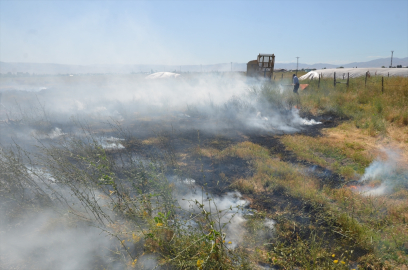 Muş&#039;ta çıkan örtü yangını söndürüldü