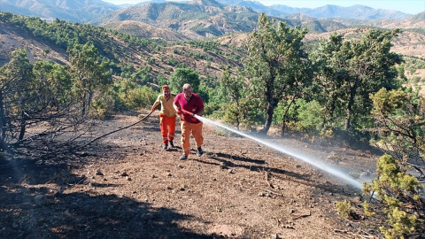 Bingöl&#039;de ormanlık alanda çıkan yangın söndürüldü