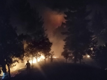 Malatya&#039;da çıkan orman yangını söndürüldü